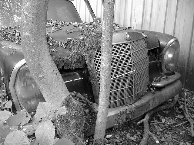 Autofriedhof - 003.JPG - Historischer Autofriedhof,    Gürbetal (CH)